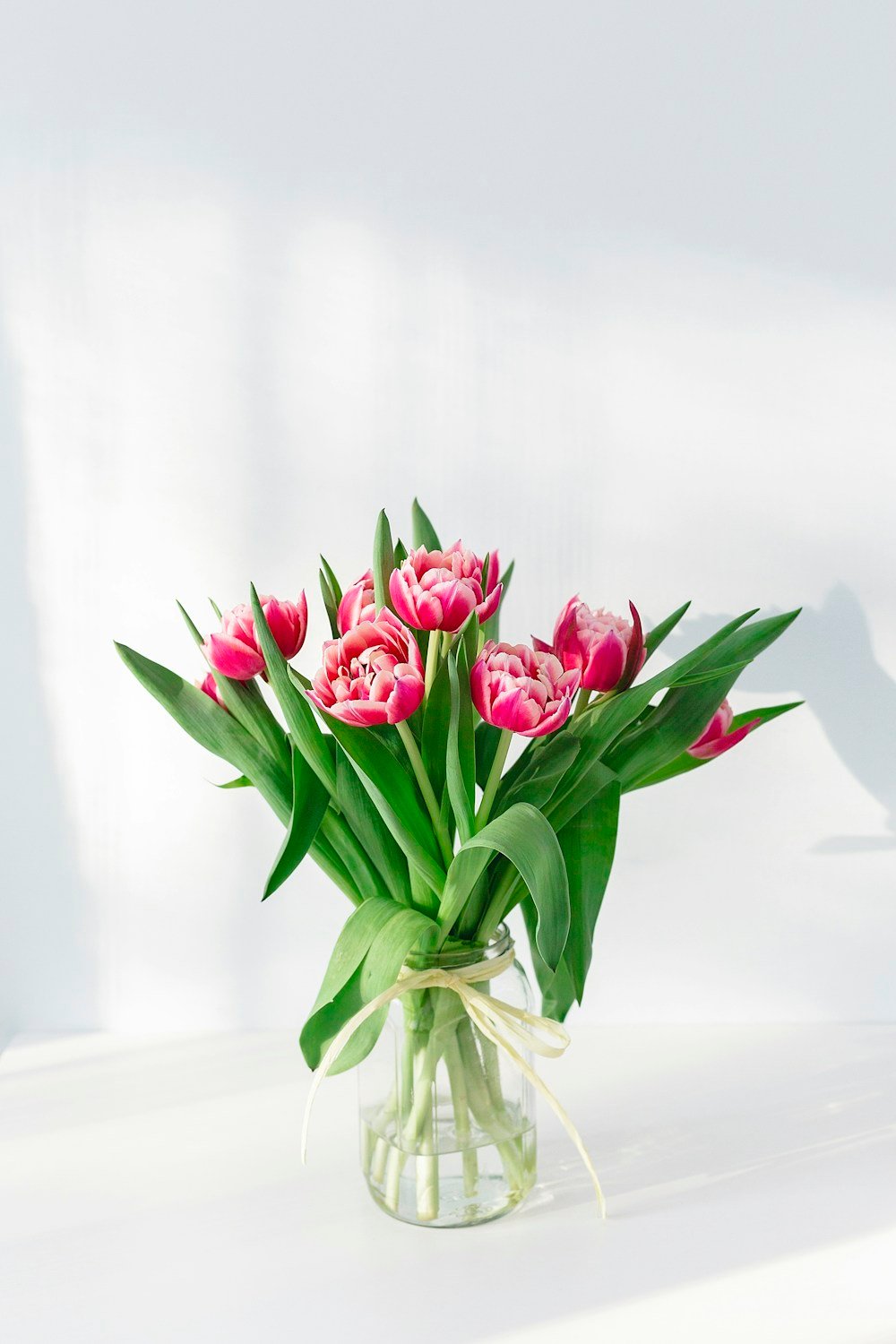 Tulip Kisses